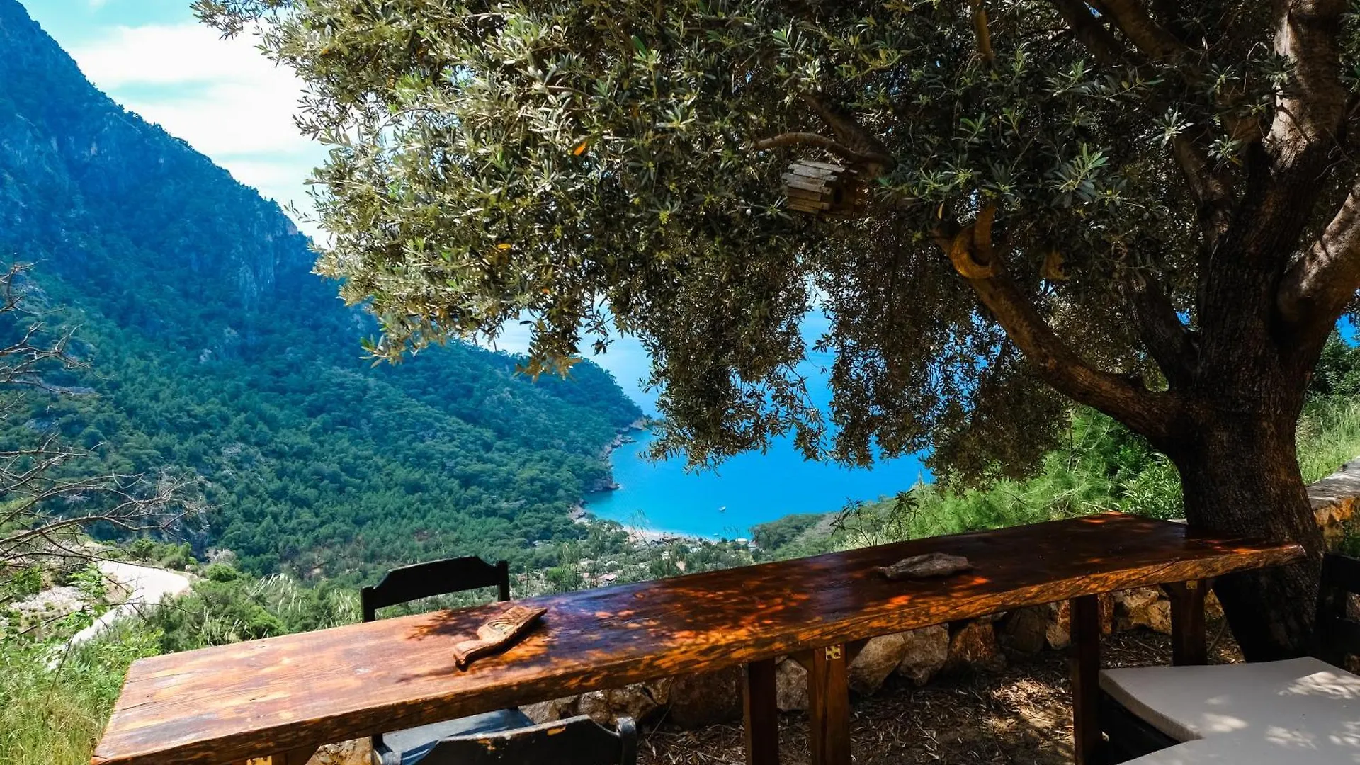 Uzak Treehouse Villa Faralya